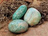 Polished Amazonite Palm Stones x 24 From Zimbabwe