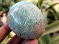 Polished Amazonite Palm Stones x 24 From Zimbabwe