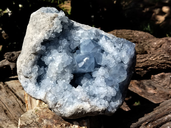 Natural Celestite Geode Specimens x 1 From Sakoany, Madagascar