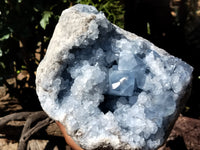 Natural Celestite Geode Specimens x 1 From Sakoany, Madagascar