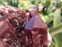 Natural Red Hematoid Quartz Clusters x 3 From Karoi, Zimbabwe