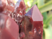 Natural Red Hematoid Quartz Clusters x 3 From Karoi, Zimbabwe