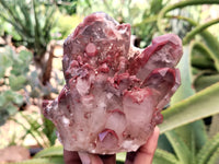 Natural Red Hematoid Quartz Clusters x 3 From Karoi, Zimbabwe