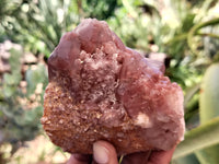 Natural Red Hematoid Quartz Clusters x 3 From Karoi, Zimbabwe