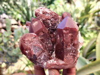 Natural Red Hematoid Quartz Clusters x 3 From Karoi, Zimbabwe