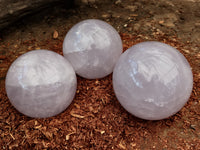 Polished Lavender Rose Quartz Spheres x 3 From Ambatondrazaka, Madagascar