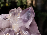 Natural Jacaranda Amethyst Quartz Cluster x 1 From Mumbwa, Zambia