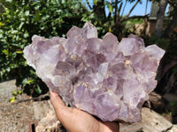 Natural Jacaranda Amethyst Quartz Cluster x 1 From Mumbwa, Zambia