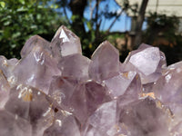 Natural Jacaranda Amethyst Quartz Cluster x 1 From Mumbwa, Zambia