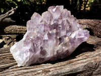 Natural Jacaranda Amethyst Quartz Cluster x 1 From Mumbwa, Zambia