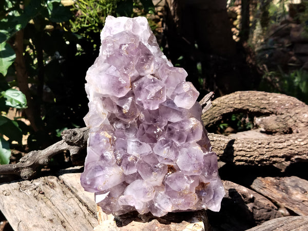 Natural Jacaranda Amethyst Quartz Cluster x 1 From Mumbwa, Zambia