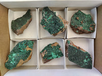 Natural Botryoidal Malachite Specimens x 6 From Tenke Fungurume, Congo