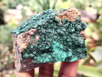 Natural Botryoidal Malachite Specimens x 6 From Tenke Fungurume, Congo