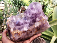 Natural Jacaranda Amethyst Quartz Cluster x 1 From Mumbwa, Zambia