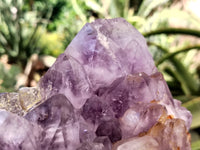 Natural Jacaranda Amethyst Quartz Cluster x 1 From Mumbwa, Zambia