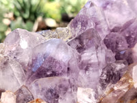 Natural Jacaranda Amethyst Quartz Cluster x 1 From Mumbwa, Zambia