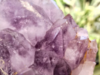 Natural Jacaranda Amethyst Quartz Cluster x 1 From Mumbwa, Zambia