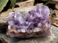 Natural Jacaranda Amethyst Quartz Cluster x 1 From Mumbwa, Zambia