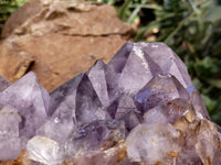 Natural Jacaranda Amethyst Quartz Cluster x 1 From Mumbwa, Zambia