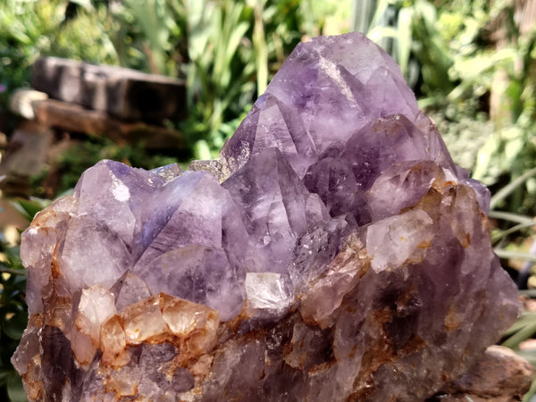 Natural Jacaranda Amethyst Quartz Cluster x 1 From Mumbwa, Zambia