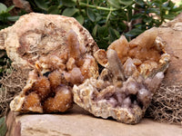 Natural Ametrine Spirit Quartz Clusters x 4 From Boekenhouthoek, South Africa