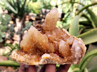 Natural Ametrine Spirit Quartz Clusters x 4 From Boekenhouthoek, South Africa