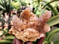 Natural Ametrine Spirit Quartz Clusters x 4 From Boekenhouthoek, South Africa