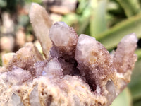 Natural Ametrine Spirit Quartz Clusters x 4 From Boekenhouthoek, South Africa