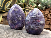 Polished Lepidolite with Pink Rubellite Standing Free Forms x 3 From Madagascar