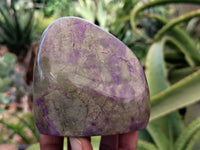 Polished Stichtite Standing Free Forms x 4 From Barberton, South Africa