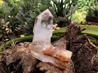 Polished Sceptre Quartz Crystals x 4 From Madagascar