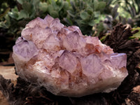 Natural Dark Amethyst Spirit Quartz Cluster x 1 From Boekenhouthoek, South Africa