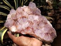 Natural Dark Amethyst Spirit Quartz Cluster x 1 From Boekenhouthoek, South Africa