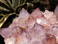 Natural Dark Amethyst Spirit Quartz Cluster x 1 From Boekenhouthoek, South Africa