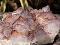 Natural Dark Amethyst Spirit Quartz Cluster x 1 From Boekenhouthoek, South Africa