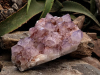 Natural Dark Amethyst Spirit Quartz Cluster x 1 From Boekenhouthoek, South Africa