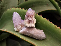 Natural Amethyst and Ametrine Spirit Quartz Clusters x 25 From South Africa