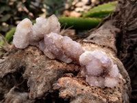 Natural Amethyst and Ametrine Spirit Quartz Clusters x 25 From South Africa