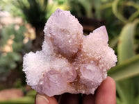 Natural Amethyst and Ametrine Spirit Quartz Clusters x 25 From South Africa