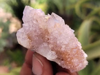 Natural Amethyst and Ametrine Spirit Quartz Clusters x 25 From South Africa