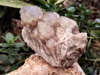 Natural Smokey Phantom Quartz Clusters x 2 From Luena, Congo