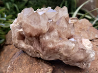 Natural Smokey Phantom Quartz Clusters x 2 From Luena, Congo