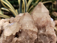 Natural Smokey Phantom Quartz Clusters x 2 From Luena, Congo