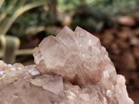 Natural Smokey Phantom Quartz Clusters x 2 From Luena, Congo