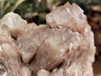 Natural Smokey Phantom Quartz Clusters x 2 From Luena, Congo