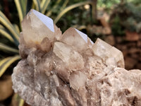 Natural Smokey Phantom Quartz Clusters x 2 From Luena, Congo