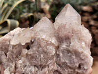 Natural Smokey Phantom Quartz Clusters x 2 From Luena, Congo