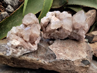 Natural Smokey Phantom Quartz Clusters x 2 From Luena, Congo