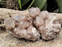 Natural Smokey Phantom Quartz Clusters x 2 From Luena, Congo