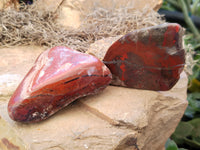 Polished On One Side Red Jasper Free Forms x 16 From Northern Cape, South Africa